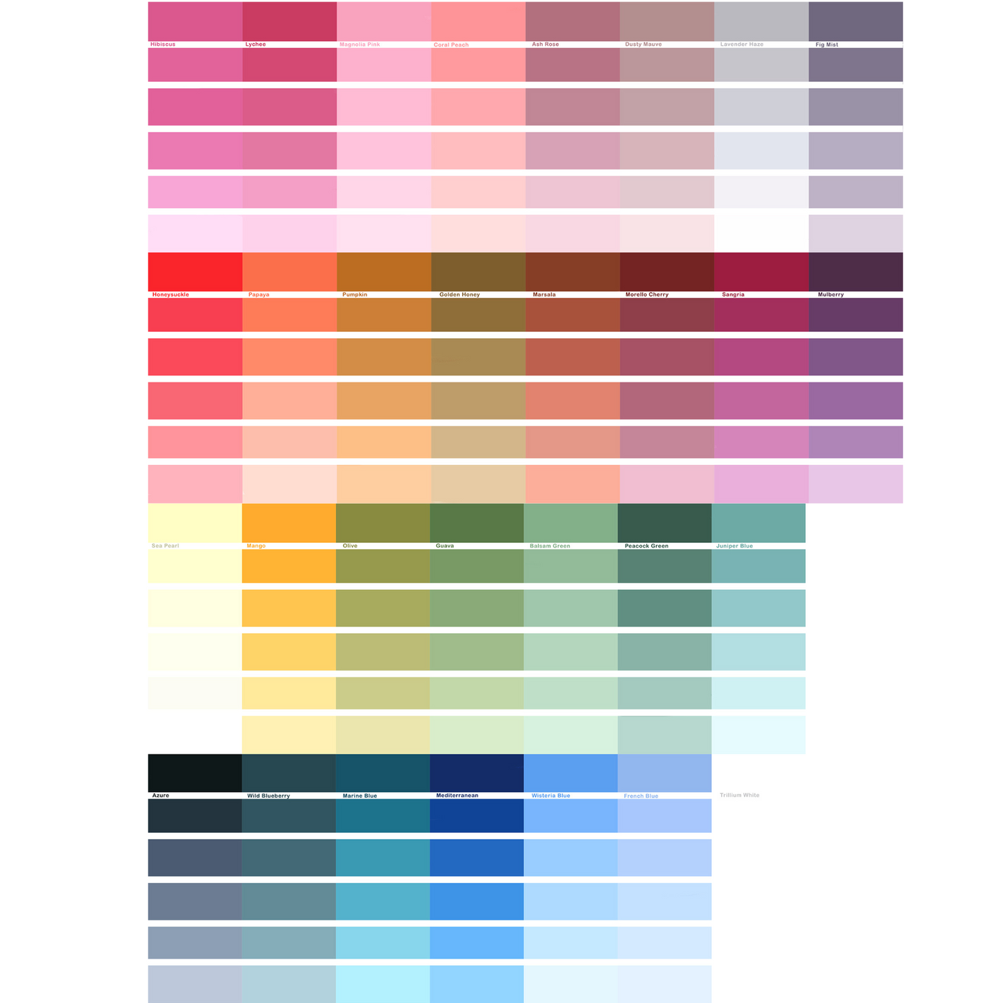 NEW! YSA 30 Pack 250ml MEGA STARTER Bundle