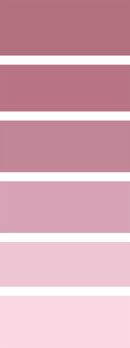 Ash Rose Acrylic Paint (250ml)