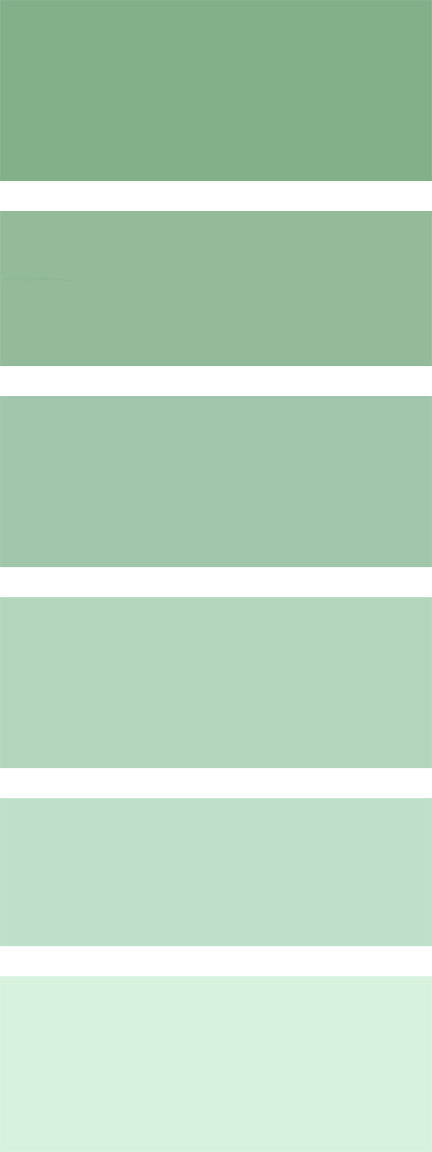 Yvette St. Amant 250ml Paint Bottle - Balsam Green