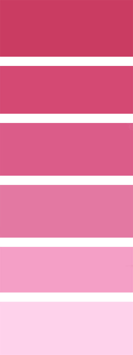 Yvette St. Amant 250ml Paint Bottle - Lychee