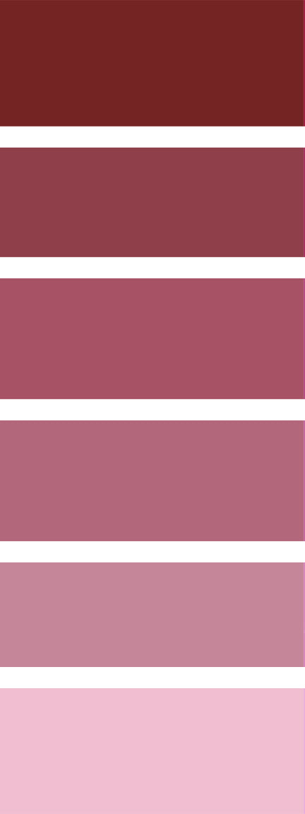 Morello Cherry Acrylic Paint (250ml)