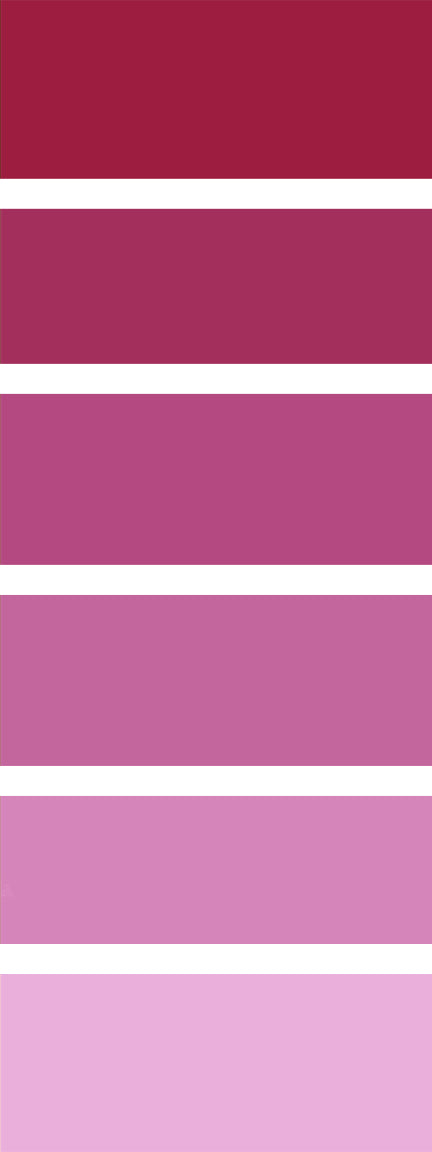 Yvette St. Amant 250ml Paint Bottle - Sangria