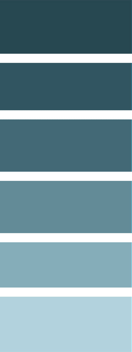 Yvette St. Amant 250ml Paint Bottle - Wild Blueberry